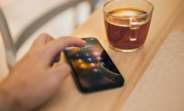 fraud awareness portal scam phone number check