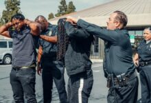 legal concept insight portal