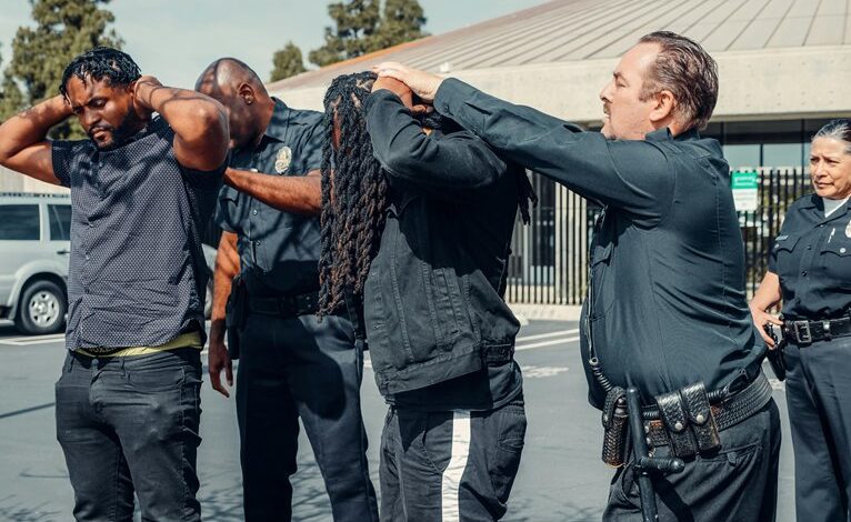 legal concept insight portal