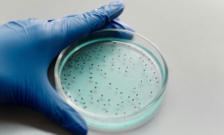 scientific keyword discovery hub context