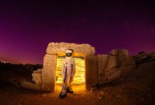 social username discovery portal revealing identity lookup interest