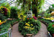 Toronto's Hidden Gems