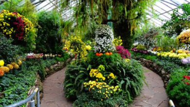 Toronto's Hidden Gems
