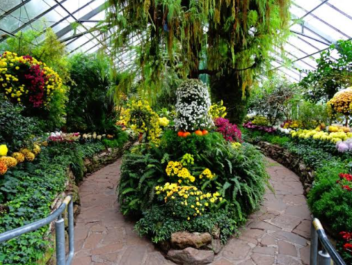 Toronto's Hidden Gems