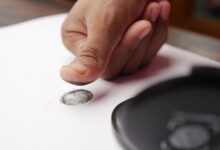 account numbers verification details listed
