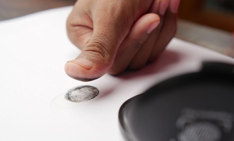 account numbers verification details listed
