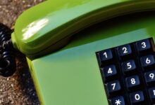 public numbers reference search results