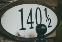 public registry reports search results