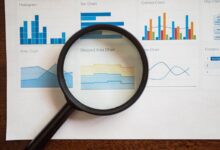 registry insights for five numbers