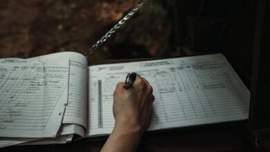 registry reference numbers search results