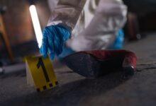 search verified registry evidence ids