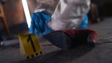 search verified registry evidence ids