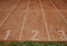 track ids verification details summarized