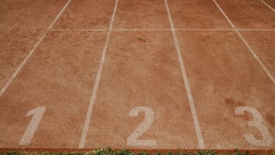 track numbers registry findings summary